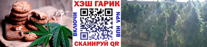 дарнет шоп  Саяногорск  Canna-Cookies конопля 