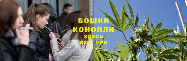 Альфа ПВП Богородск