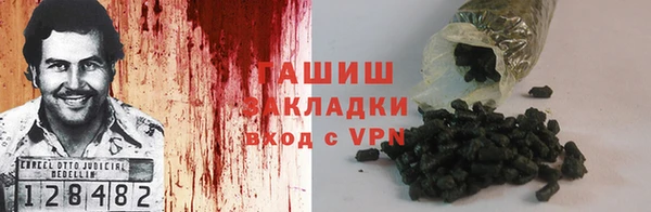 индика Богородицк