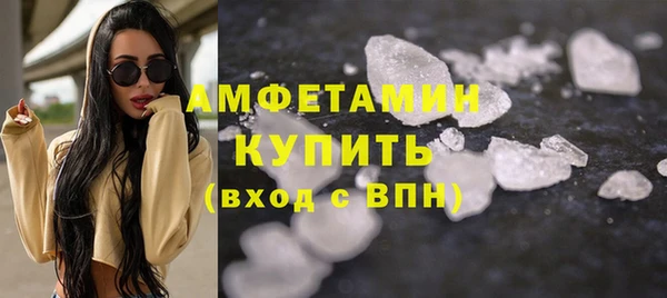 индика Богданович