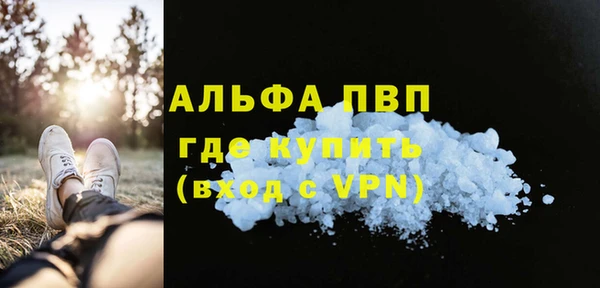индика Богданович