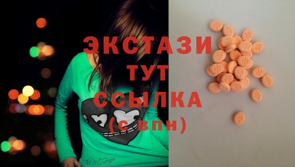 индика Богородицк