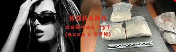 ГАЛЛЮЦИНОГЕННЫЕ ГРИБЫ Белокуриха