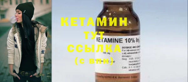 индика Богородицк