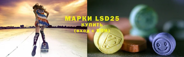 индика Богданович