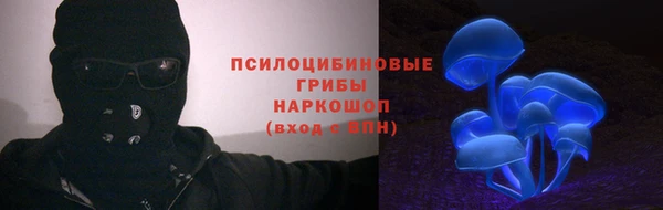 ГАЛЛЮЦИНОГЕННЫЕ ГРИБЫ Белокуриха