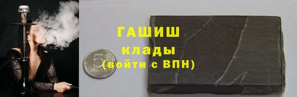 индика Богородицк