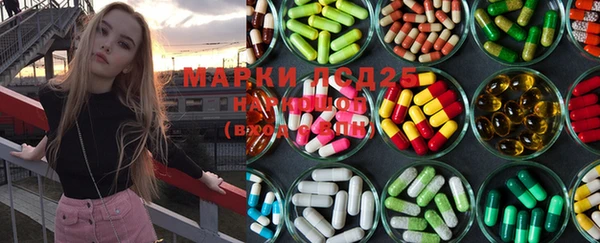 ГАЛЛЮЦИНОГЕННЫЕ ГРИБЫ Белокуриха