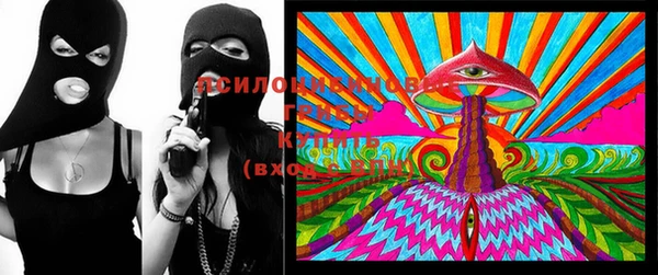 ГАЛЛЮЦИНОГЕННЫЕ ГРИБЫ Белокуриха