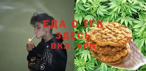 индика Богородицк