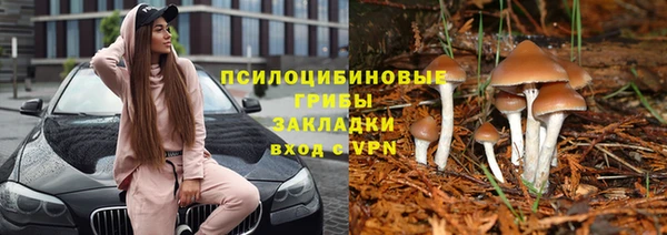 ГАЛЛЮЦИНОГЕННЫЕ ГРИБЫ Белокуриха