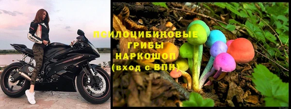 индика Богданович
