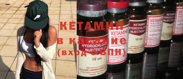 индика Богданович