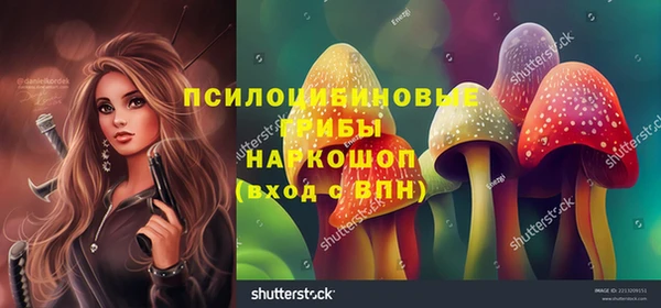 индика Богданович