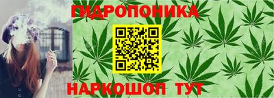 гидра Чебоксары