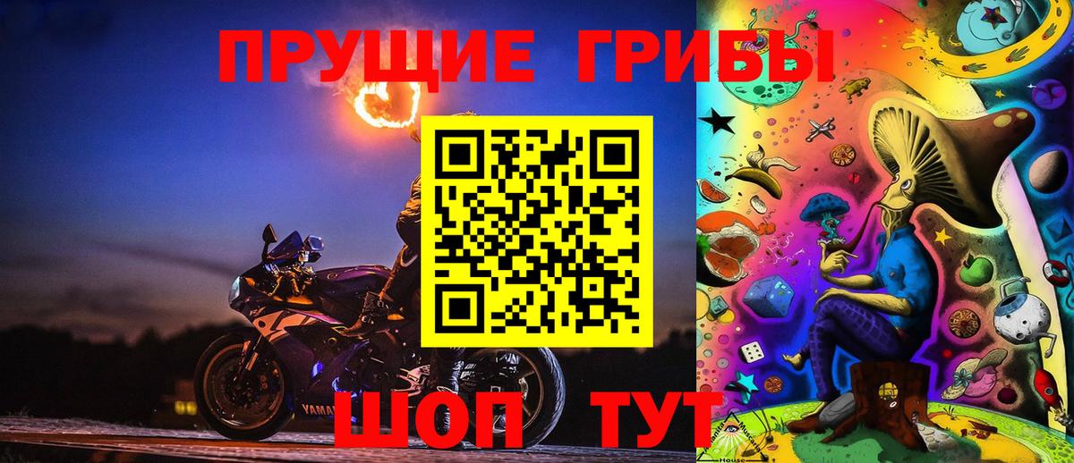 Галлюциногенные грибы прущие грибы Саяногорск