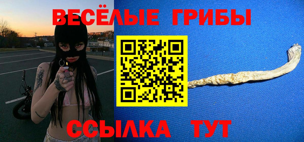 Псилоцибиновые грибы Psilocybe  Вход с VPN  Галлюциногенные грибы ЛСД  Саяногорск 